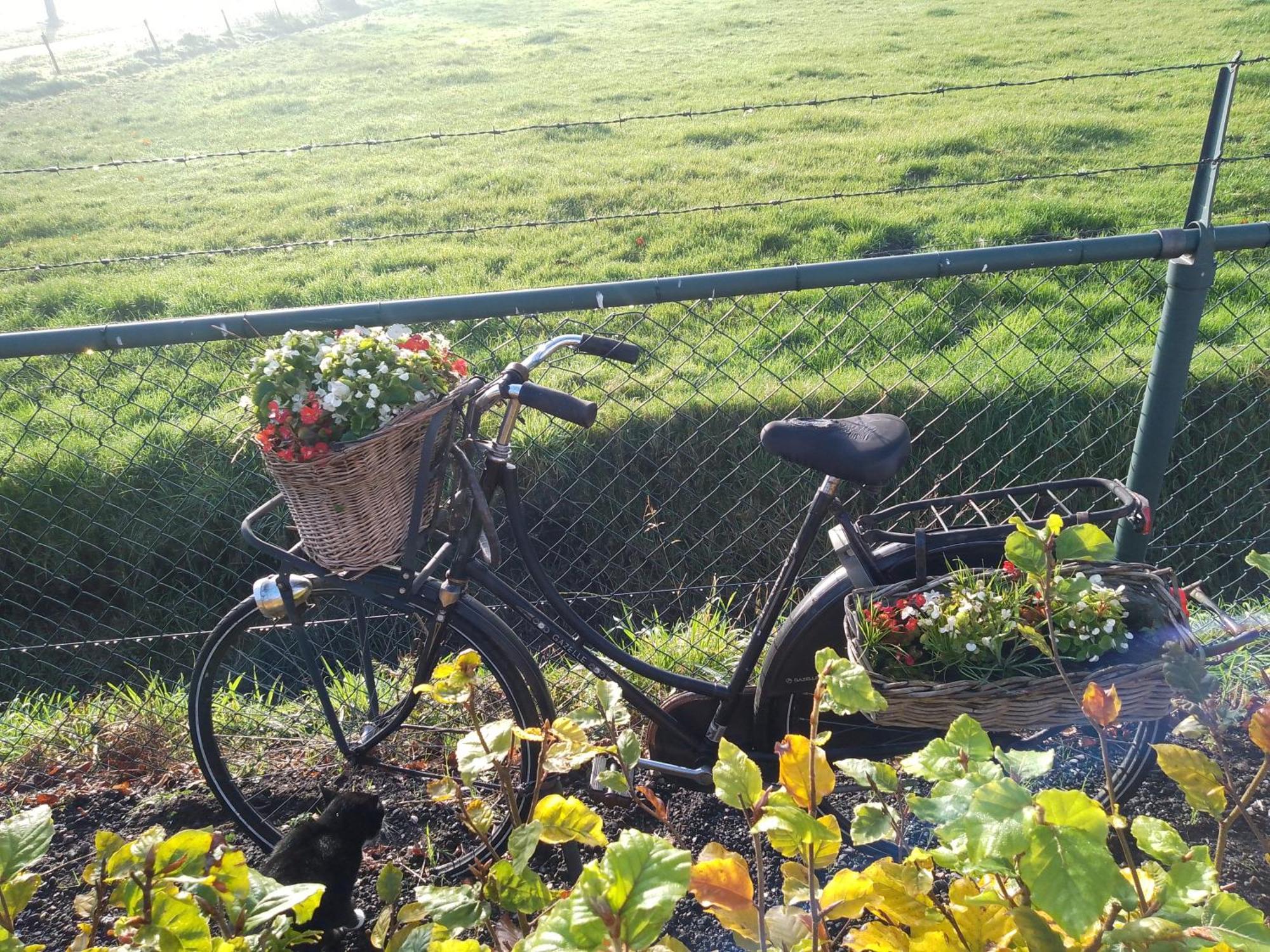 Ut Witte Huisje Venhorst Luaran gambar